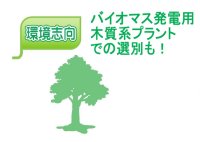 バイオマス発電用木質系プラントでの選別も！